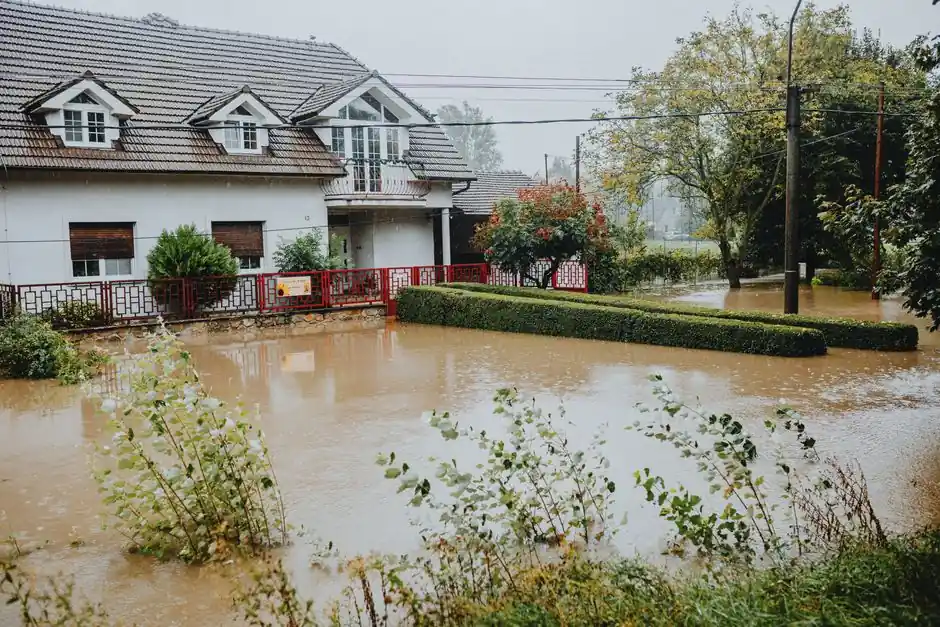 Flood Damage Cleanup