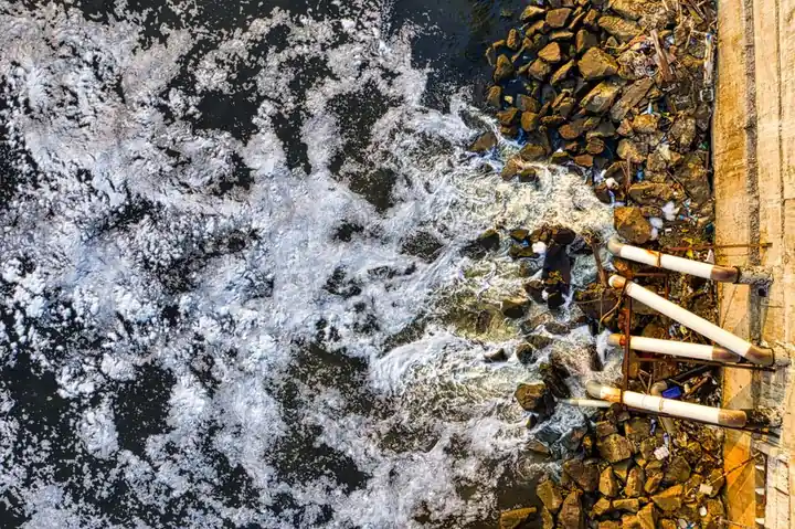 How to handle sewage cleanup safely
