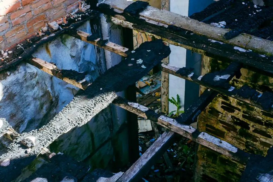Professional Flood Damage Cleanup in roswell