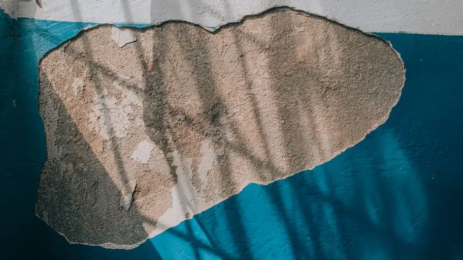 Quality Basement Water Damage Repair in roswell